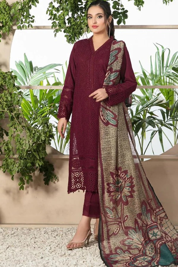 Chikenkari Dhanak Embroidered Winter Party Wear Collection